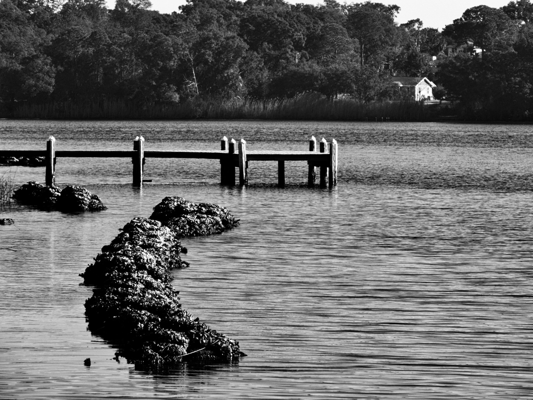 Rocks, Pier And Trees